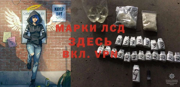 индика Алексин
